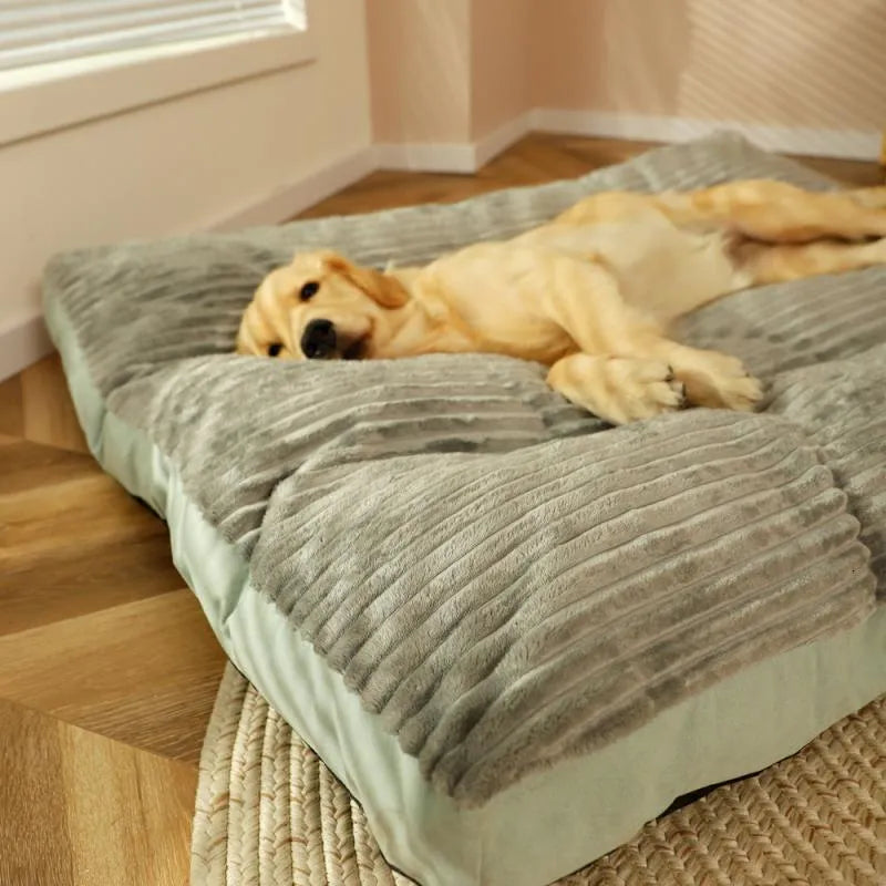 Lit Confort Pour Chien – Soutien Optimal Et Repos Paisible