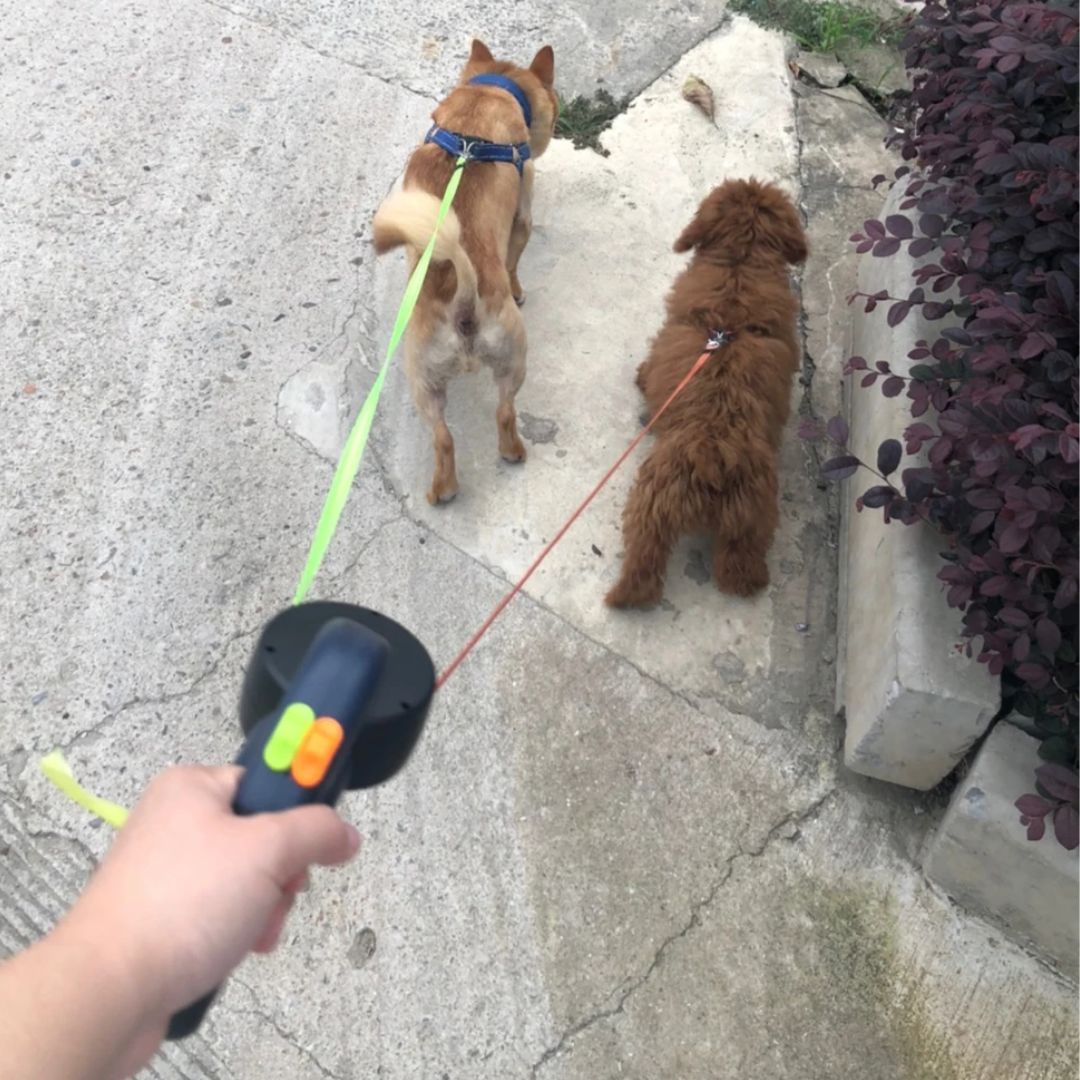 Lad Dobbeltræk til Hunde – Med LED-lampe og Posedispenser