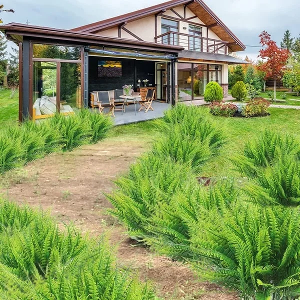 Sztuczna Dekoracyjna Paproć – Realistyczny Wygląd I Długa Trwałość