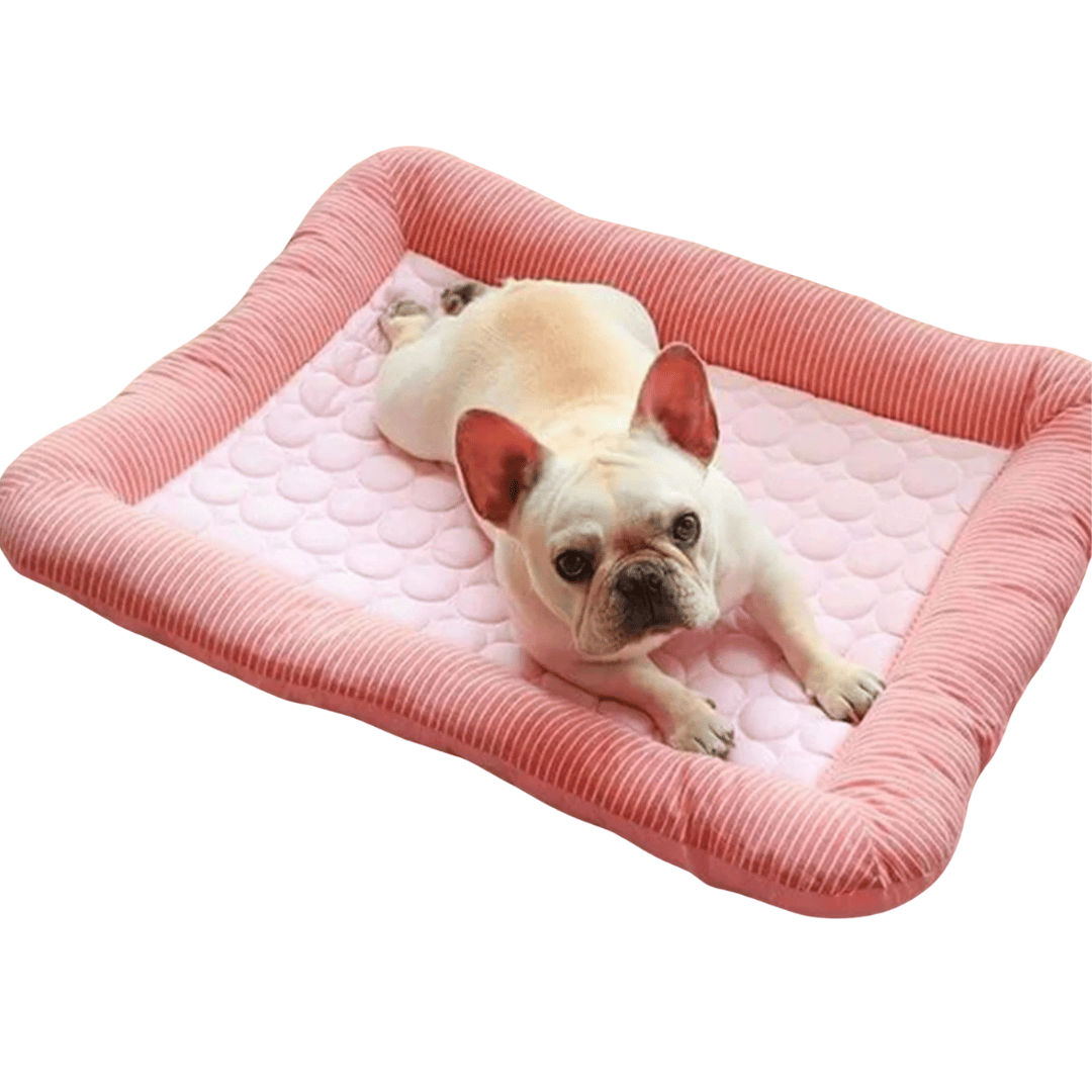 Verkoelend Kussen Voor Honden – Koelte En Comfort In De Zomer