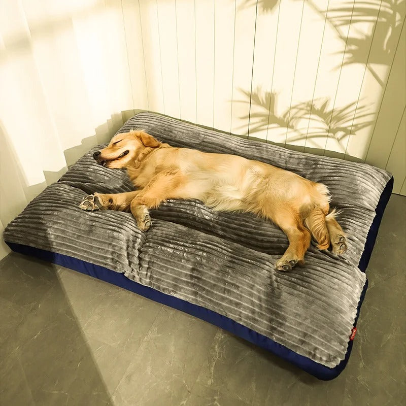 Lit Confort Pour Chien – Soutien Optimal Et Repos Paisible