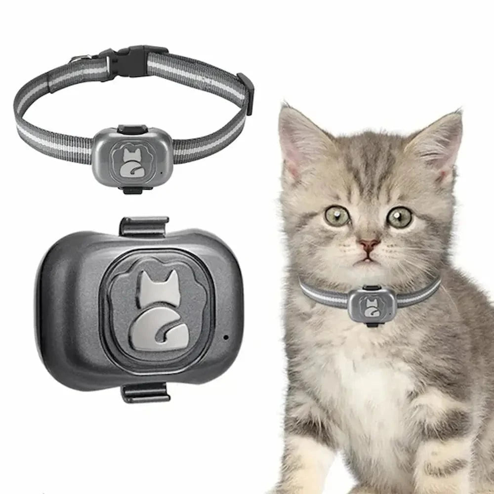 Collier Traceur GPS Pour Chat – Localisation Facile Et Fiable