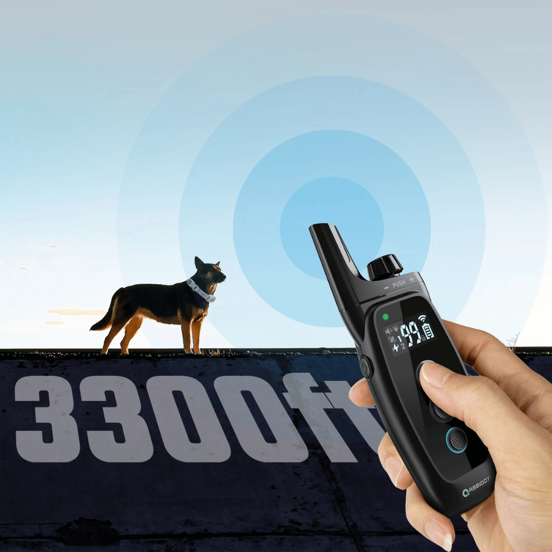 Collare di addestramento per cani – Telecomando LED e portata 1000 m 