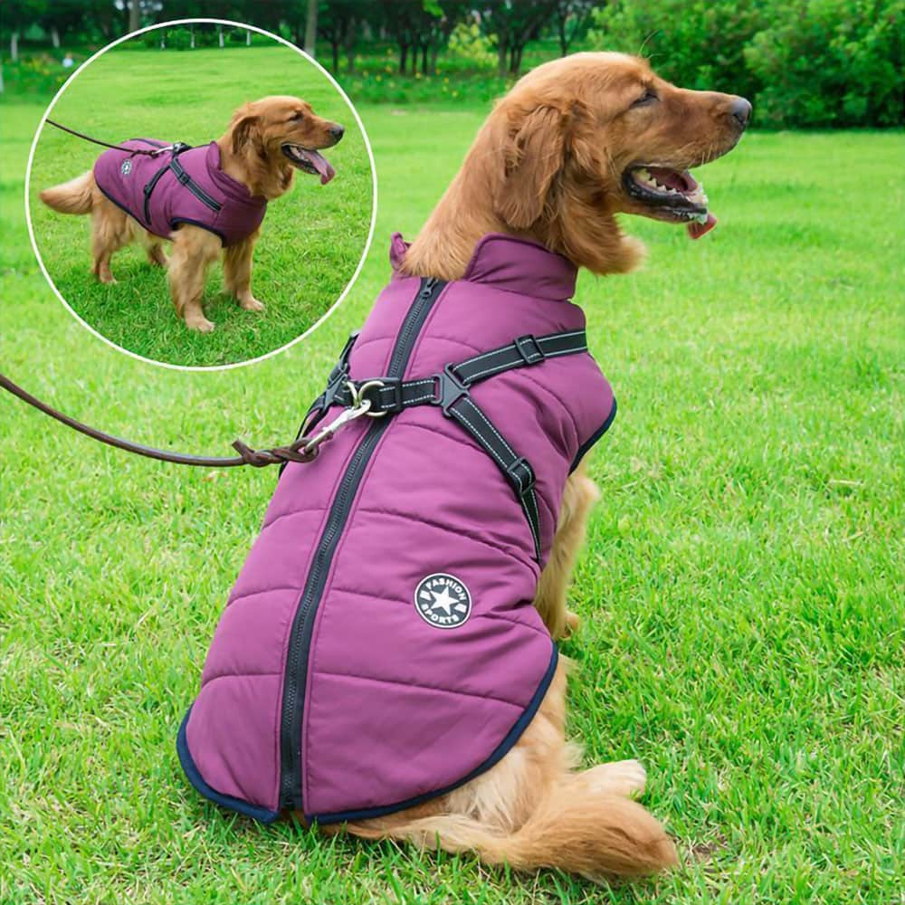 Waterproof Dog Parka - Protection & Style 