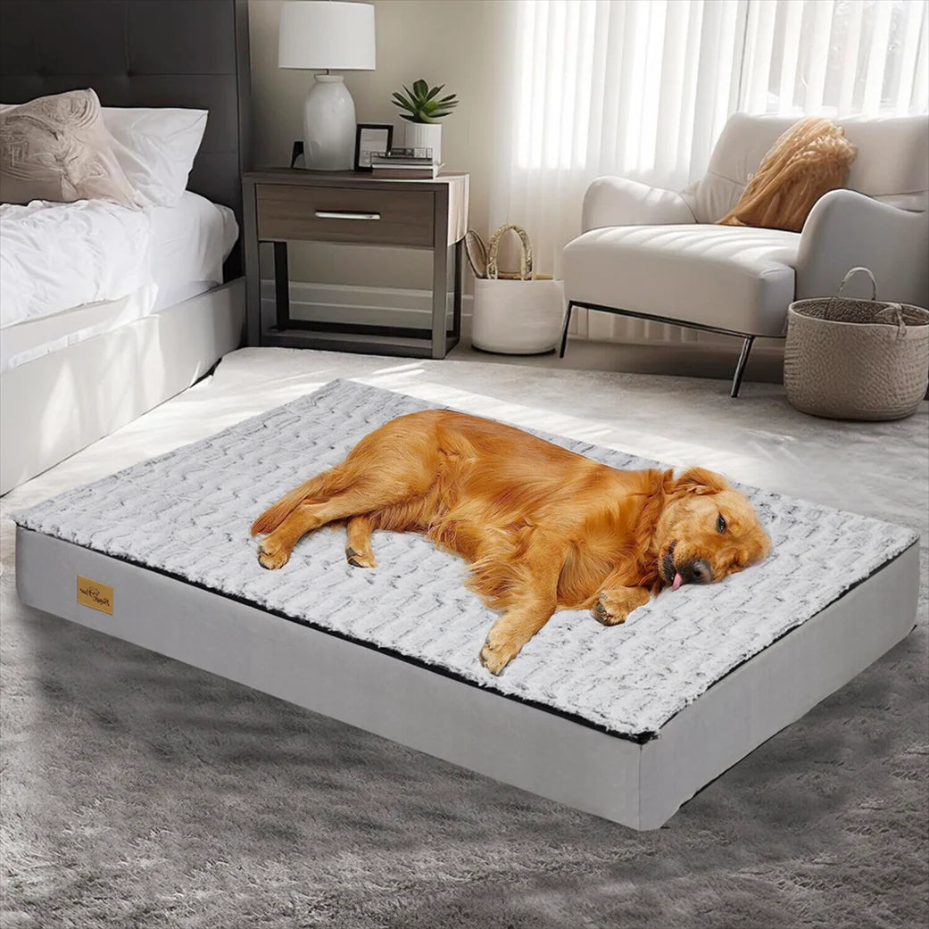 Seng Komfortabel For Hund – Ideell For Hvile Og Restitusjon 