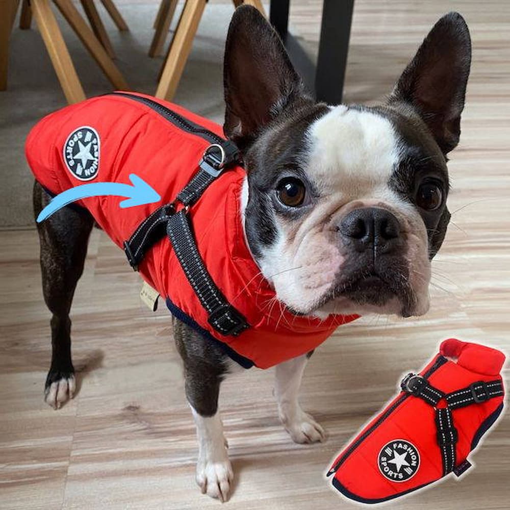 Waterproof Dog Parka - Protection & Style 