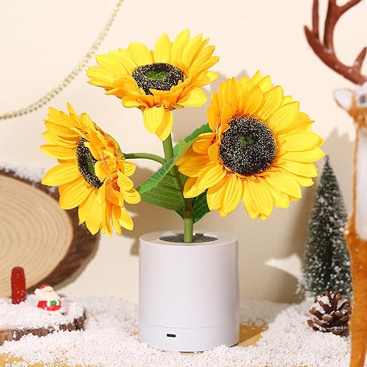 מנורת שולחן LED נטענת USB – תאורה מקורית ואלגנטית 