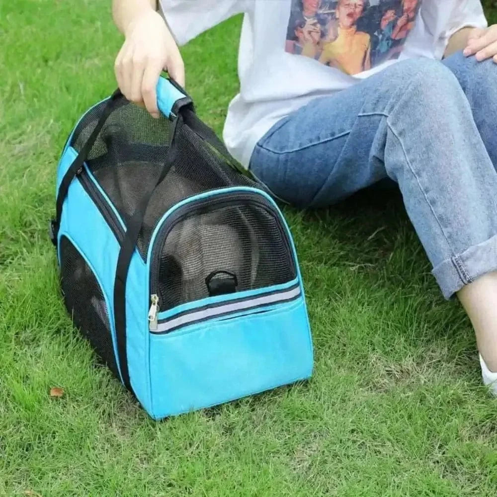 Air Travel Bag For Cat – Easy And Secure Travel 