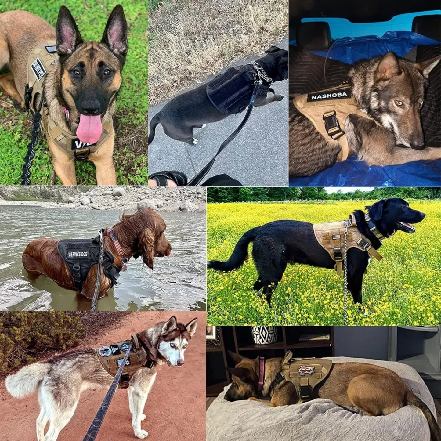Nastaviteľný postroj pre psa – Pevnosť a kontrola 