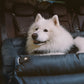 Cadeira de Auto para Cão – Conforto e Proteção 