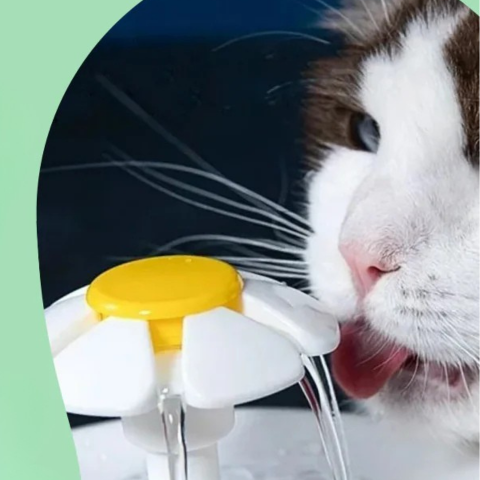 Vattenfontän för katt — Kontinuerlig hydrering och alltid friskt vatten 