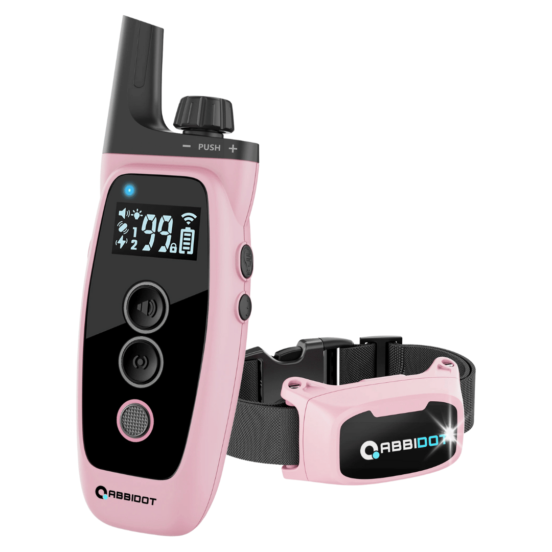 Collare di addestramento per cani – Telecomando LED e portata 1000 m 