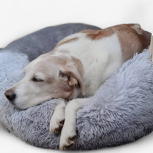 Lit Apaisant Pour Animaux – Confort Douillet Et Sommeil Réparateur