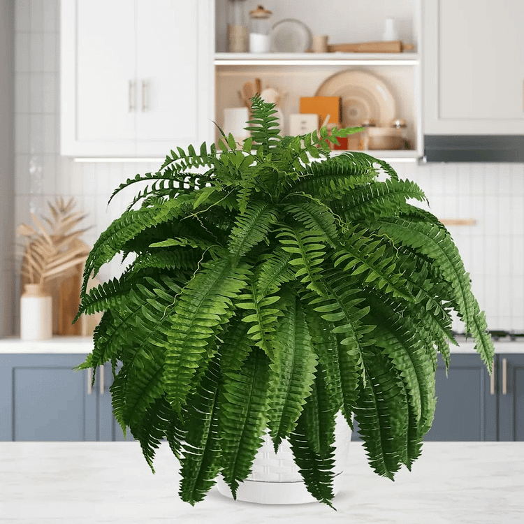 Künstlicher Dekorationsfarn – Realistischer Look und lange Haltbarkeit 