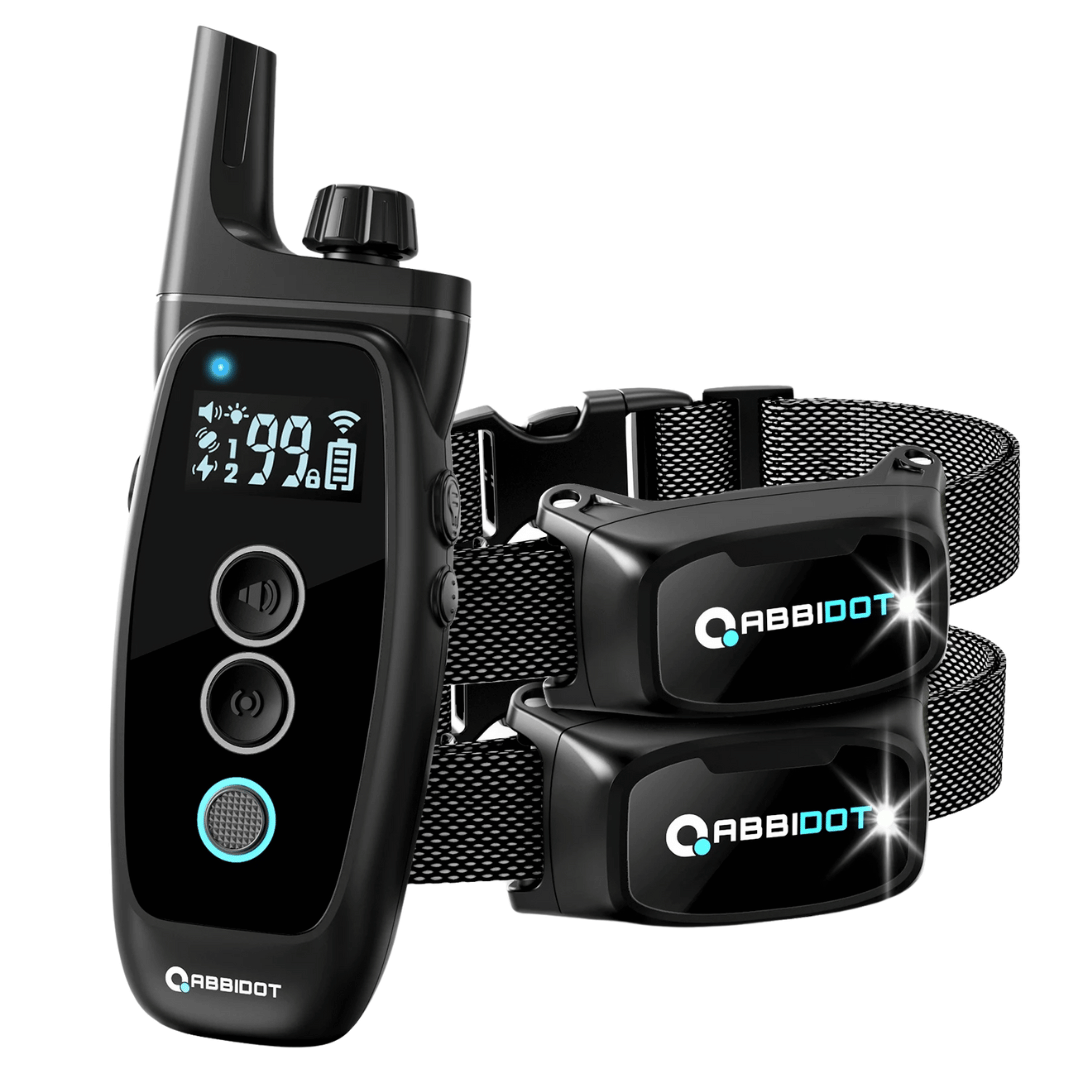 Collare di addestramento per cani – Telecomando LED e portata 1000 m 