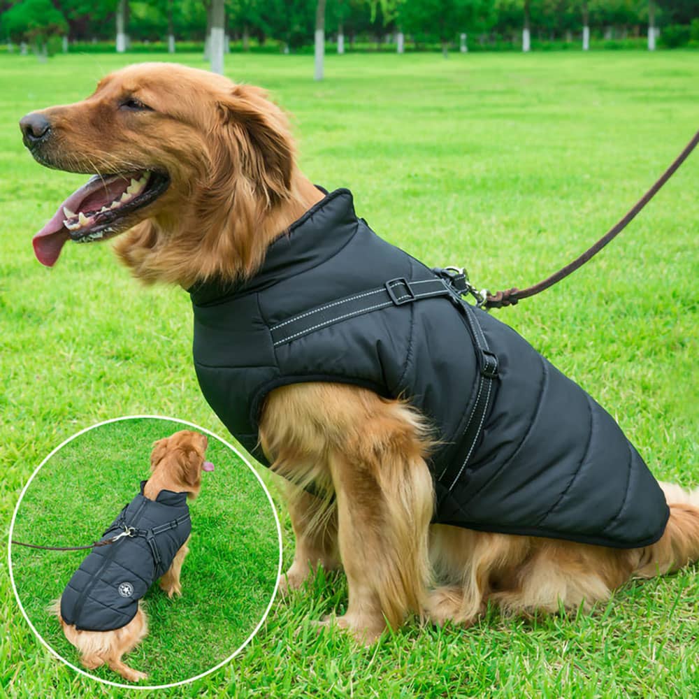 Waterproof Dog Parka - Protection & Style 