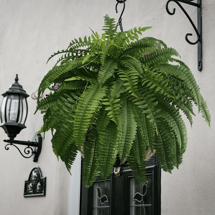 Ferigă Decorativă Artificială – Aspect Realist și Durată Lungă 